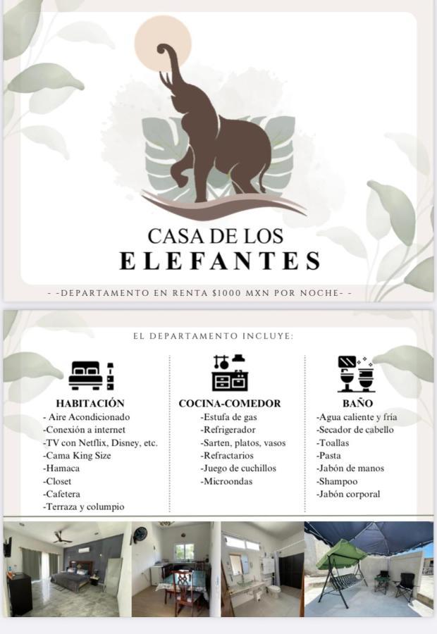 Casa De Elefantes *